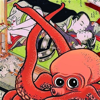 SHUNGA ALERT