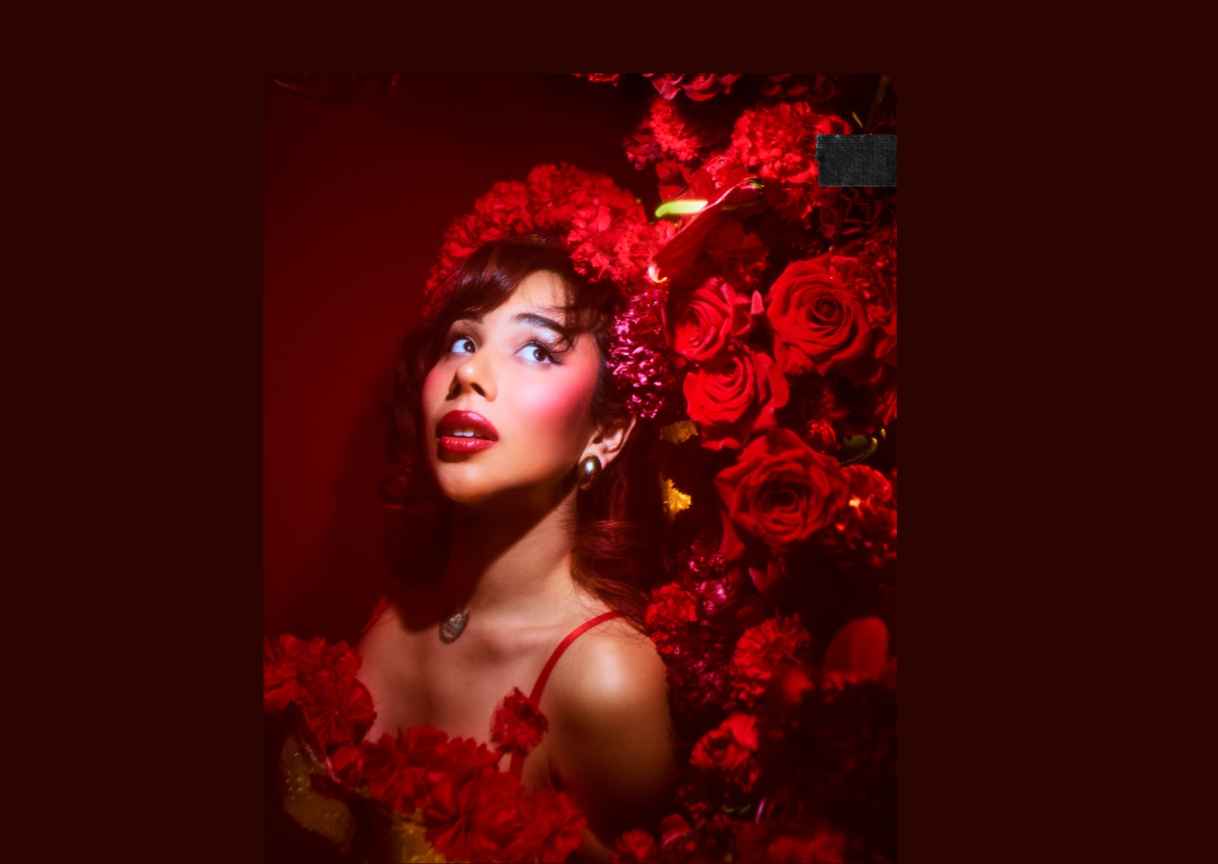 Cecilia Gentili's Red Ink